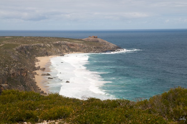 AustraliaEast 10  169